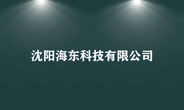 沈阳海东科技有限公司