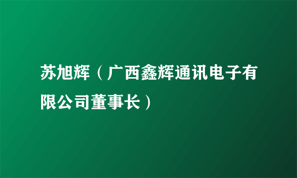 苏旭辉（广西鑫辉通讯电子有限公司董事长）