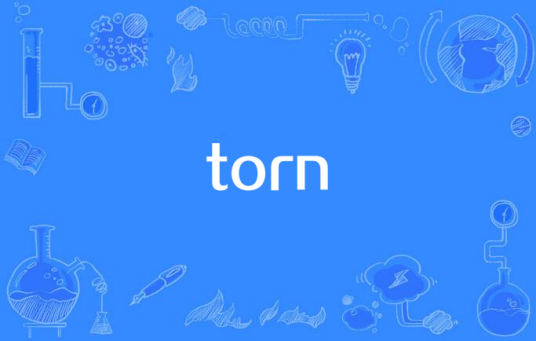 Torn（娜塔莉安博莉亚演唱的歌曲）