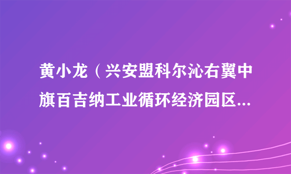 黄小龙（兴安盟科尔沁右翼中旗百吉纳工业循环经济园区管理委员会党工委委员、综合秘书股股长）