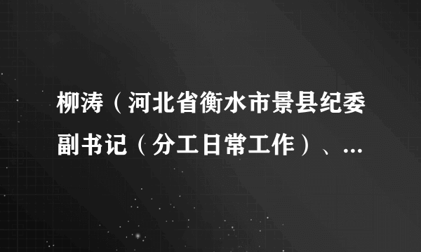 柳涛（河北省衡水市景县纪委副书记（分工日常工作）、县监察委副主任、一级主任科员）