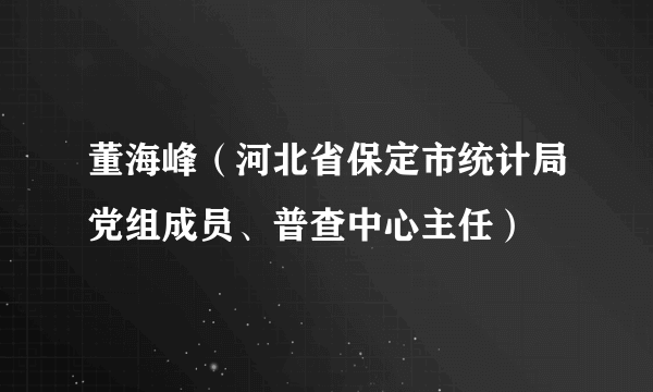 董海峰（河北省保定市统计局党组成员、普查中心主任）