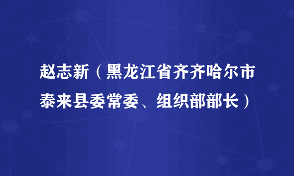 赵志新（黑龙江省齐齐哈尔市泰来县委常委、组织部部长）