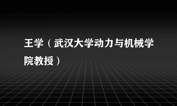 王学（武汉大学动力与机械学院教授）