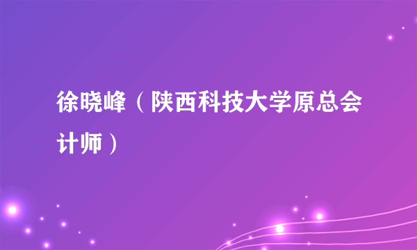 徐晓峰（陕西科技大学原总会计师）