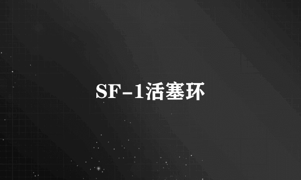 SF-1活塞环