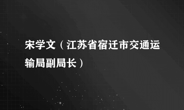 宋学文（江苏省宿迁市交通运输局副局长）