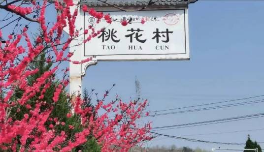 桃花村（陕西省商洛市丹凤县铁峪铺镇桃花村）