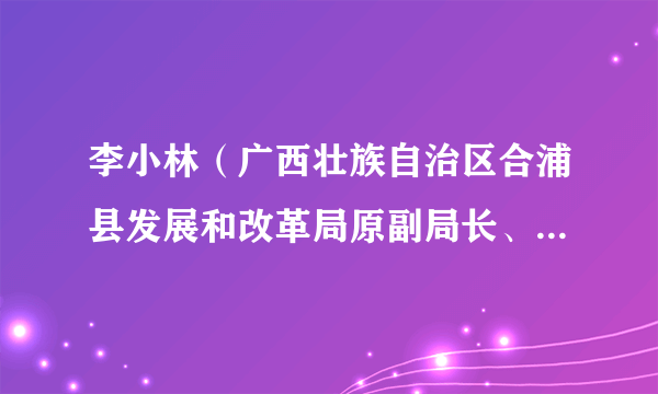 李小林（广西壮族自治区合浦县发展和改革局原副局长、合浦县粮食和物资储备局局长）