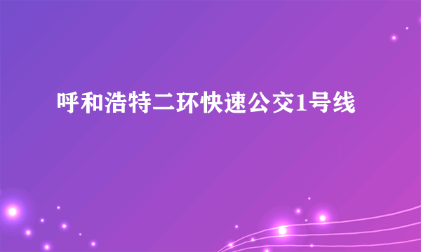 呼和浩特二环快速公交1号线