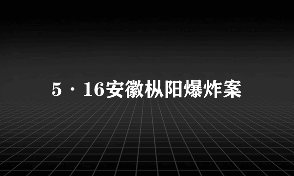 5·16安徽枞阳爆炸案