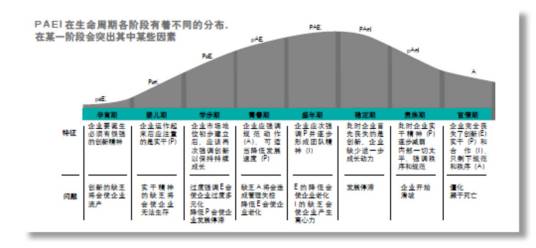 企业生命周期动力系统