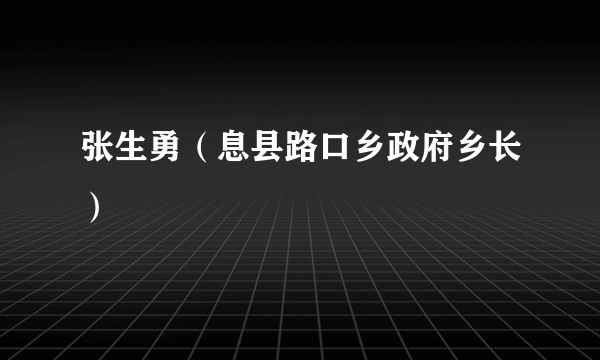 张生勇（息县路口乡政府乡长）