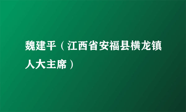 魏建平（江西省安福县横龙镇人大主席）