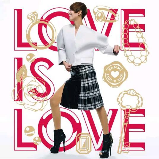 love is love（2013年郑秀文发行的专辑）