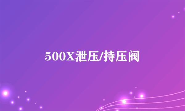 500X泄压/持压阀