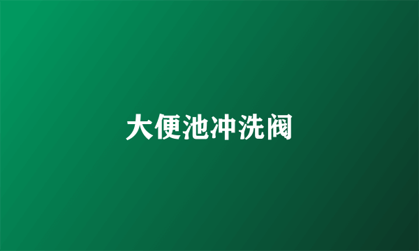 大便池冲洗阀