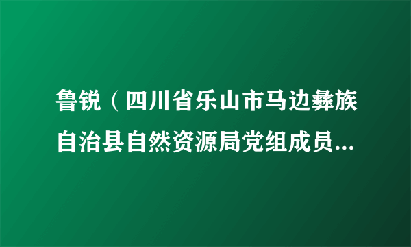 鲁锐（四川省乐山市马边彝族自治县自然资源局党组成员、副局长）