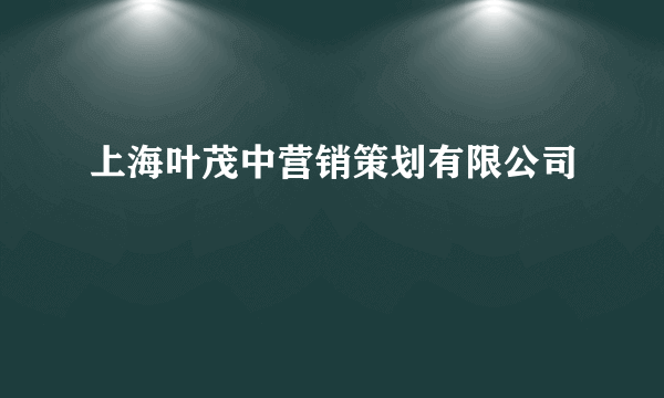 上海叶茂中营销策划有限公司