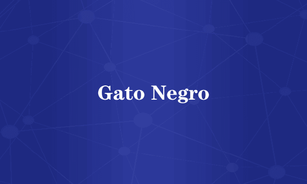 Gato Negro