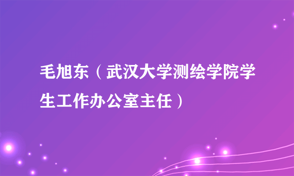 毛旭东（武汉大学测绘学院学生工作办公室主任）