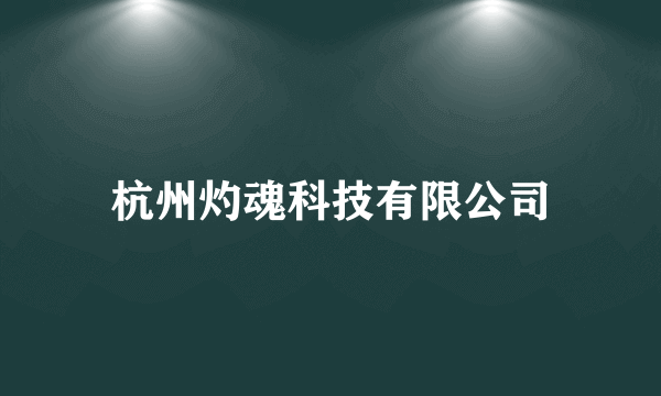 杭州灼魂科技有限公司