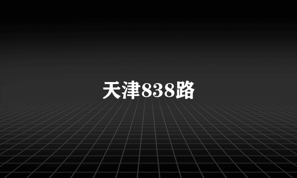 天津838路