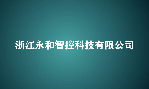 浙江永和智控科技有限公司