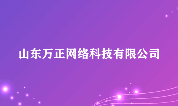 山东万正网络科技有限公司