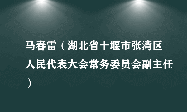 马春雷（湖北省十堰市张湾区人民代表大会常务委员会副主任）