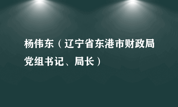 杨伟东（辽宁省东港市财政局党组书记、局长）