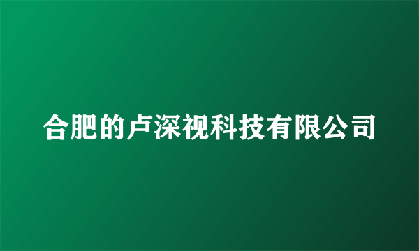 合肥的卢深视科技有限公司