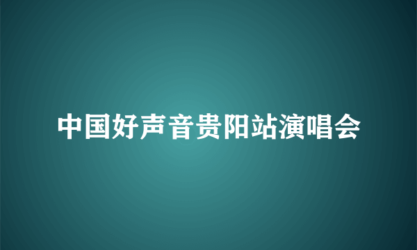 中国好声音贵阳站演唱会