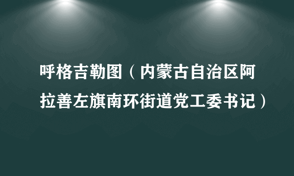 呼格吉勒图（内蒙古自治区阿拉善左旗南环街道党工委书记）