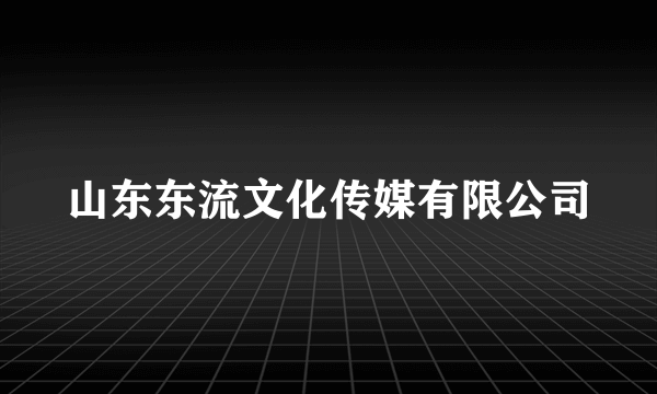 山东东流文化传媒有限公司