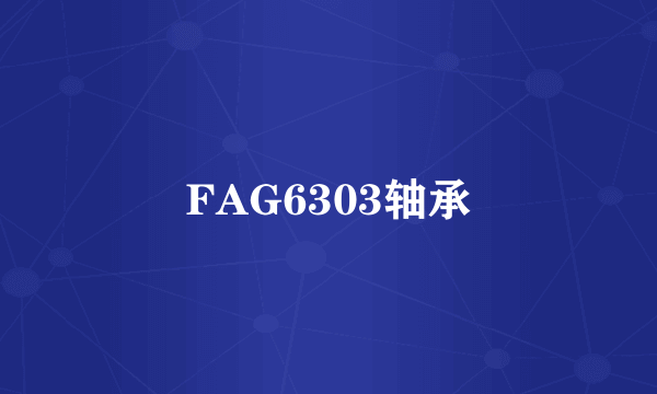 FAG6303轴承