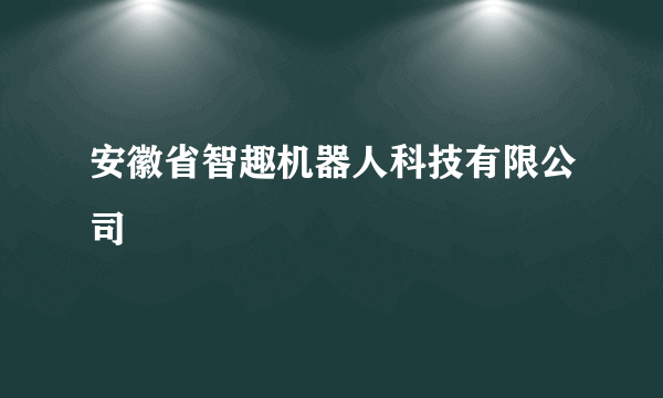 安徽省智趣机器人科技有限公司