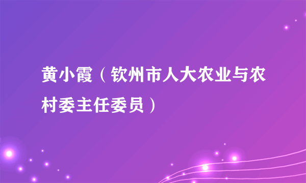 黄小霞（钦州市人大农业与农村委主任委员）