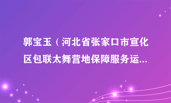 郭宝玉（河北省张家口市宣化区包联太舞营地保障服务运行团队指挥部垃圾清废组组长）