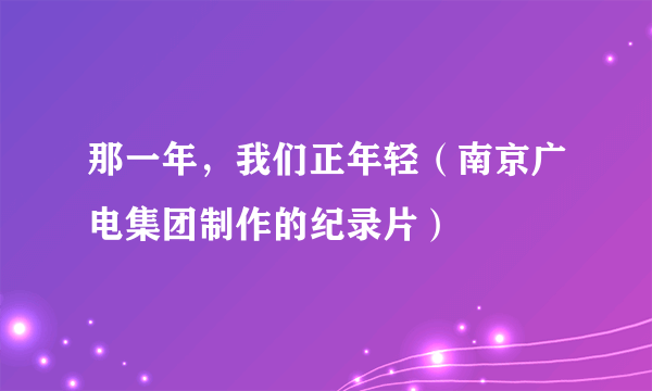 那一年，我们正年轻（南京广电集团制作的纪录片）