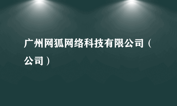 广州网狐网络科技有限公司（公司）