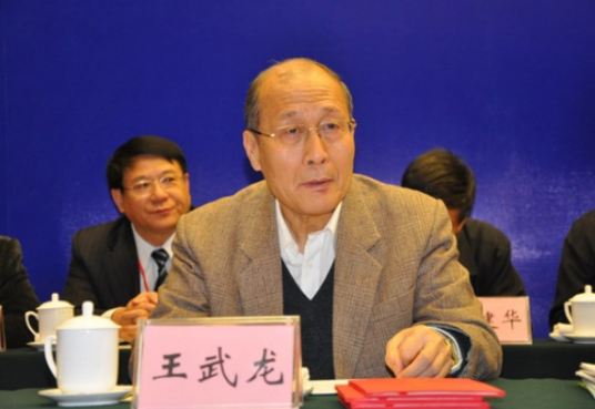 王武龙（中国工程咨询协会会长）