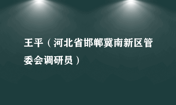 王平（河北省邯郸冀南新区管委会调研员）