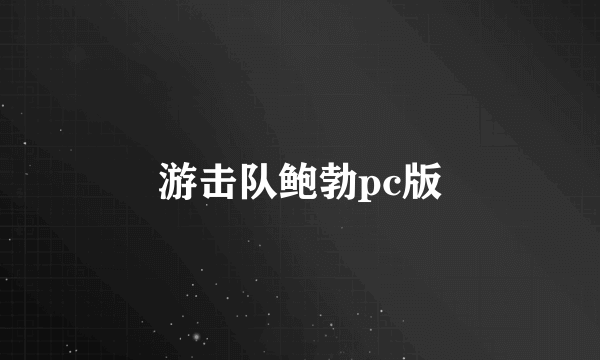 游击队鲍勃pc版