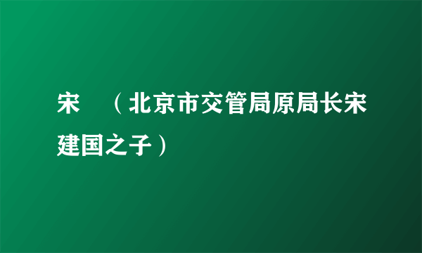 宋喆（北京市交管局原局长宋建国之子）