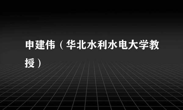 申建伟（华北水利水电大学教授）