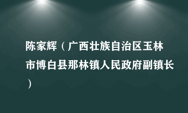 陈家辉（广西壮族自治区玉林市博白县那林镇人民政府副镇长）