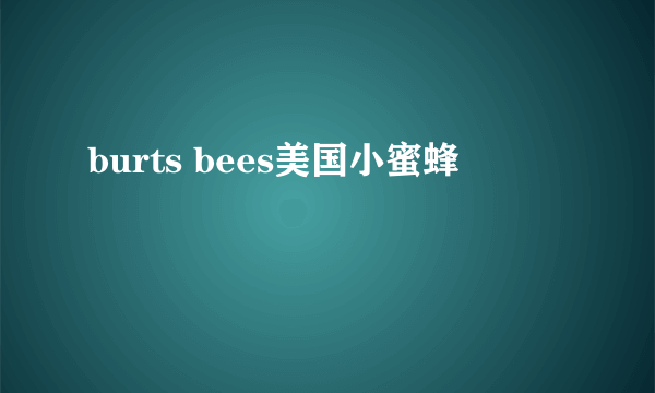 burts bees美国小蜜蜂