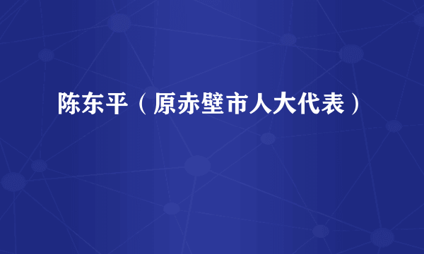 陈东平（原赤壁市人大代表）