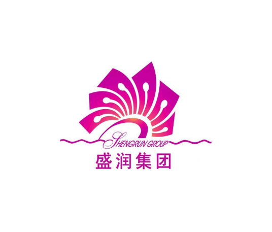 河南盛润控股集团有限公司